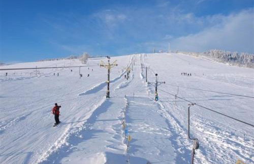 Dom w Górach Sowich Niedźwiedzia Gawra, Michałkowa - Foto 72