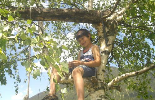 Faltnerhof - Foto 45