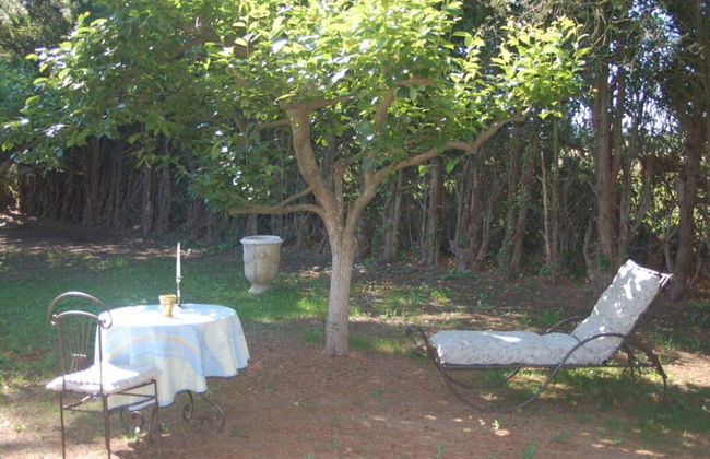 Camargue Modern Retreat - Foto 13