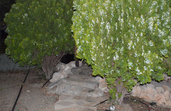 Cortijo Veracruz - Photo 71