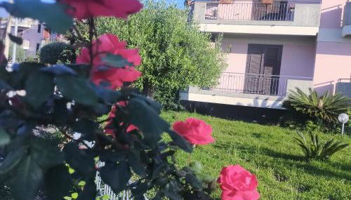 aranceto dell'Etna - Foto 3