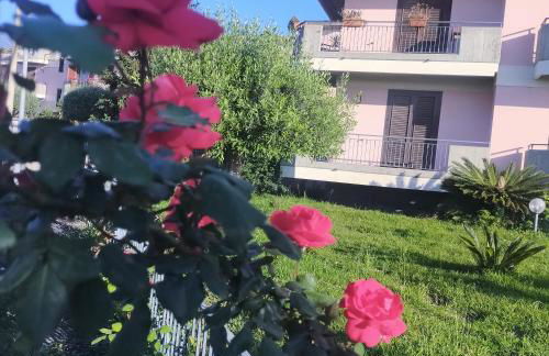 aranceto dell'Etna - Foto 3