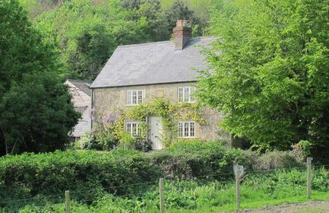 The Garlic Farm - Photo 75