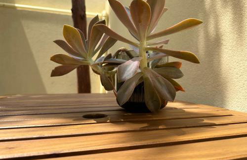 House Real Companhia - Foto 38