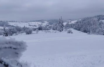 Agroturystyka ,Jarzębina' - Foto 16