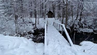 Cozy stream-side cabin - Foto 4