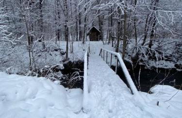Cozy stream-side cabin - Foto 4