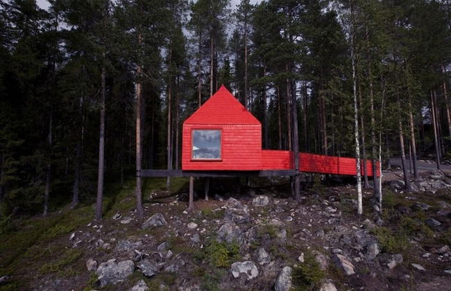 Tree Hotel - Foto 19