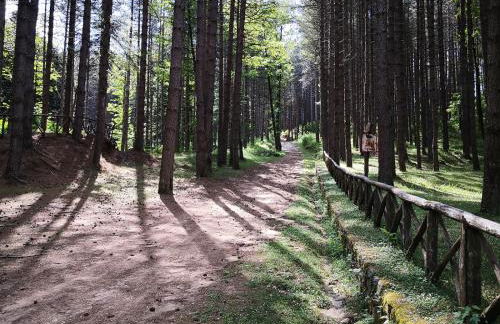 Borgo Antico Satriano - Foto 13