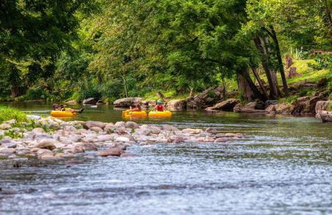 Peaceful Smoky Treehouse| Hot Tub • Hammock • Deck - Foto 38