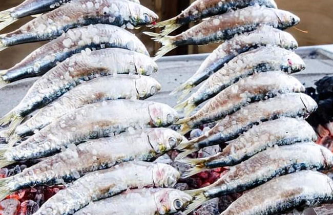 Montesa terraza comunitaria - Foto 17