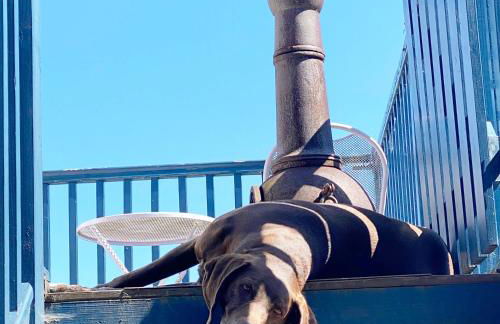 Tanar View - Photo 16