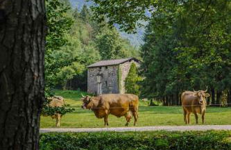 Agriturismo Ferdy - Foto 21