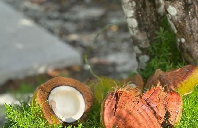 Flipper Refuge 2 Bedroom Cottage - Foto 23