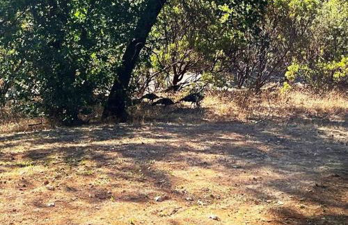 Yosemite's Scenic Hideaway - Foto 41