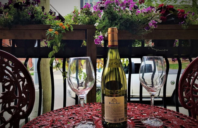 Ottawa Center 1 Bedroom Apartment near Bank St - Photo 12