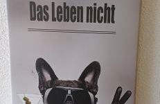 Wohnung 3 Tollgauer - Foto 21