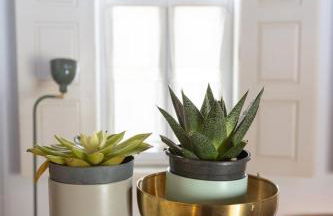 Casa Amarela Sao Luis - Foto 10