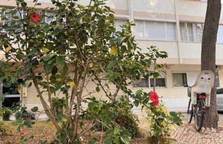 3 Room Apartment S Jõao Caparica - Foto 45