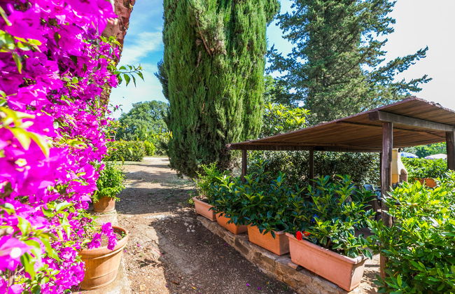 Campo Fiorito - Foto 63