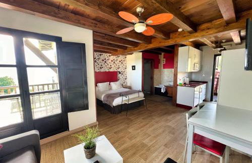 Apartamentos Spa Casco Histórico de Isla - ALOJATEISLA - Foto 92