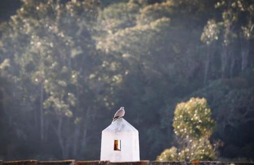 Casa Amado, Aldeia da Pedralva - Foto 31