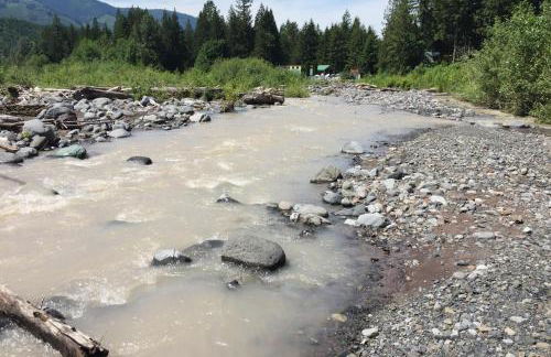 Mt Baker Rim Cabin #78 - Wifi - Pets Ok - Foto 35
