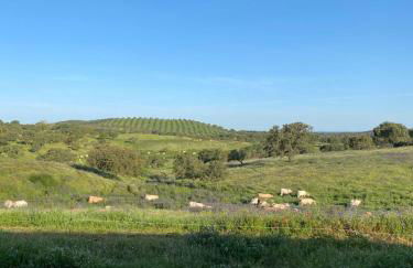 Country House and Estate - Herdade da Azinheira - Foto 4