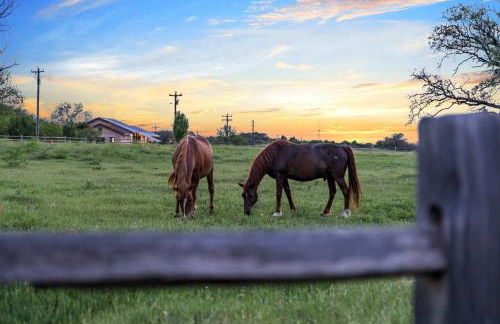 Container Home with Rooftop Views and Pickleball - Foto 20