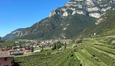 Appartamento CS - Foto 5