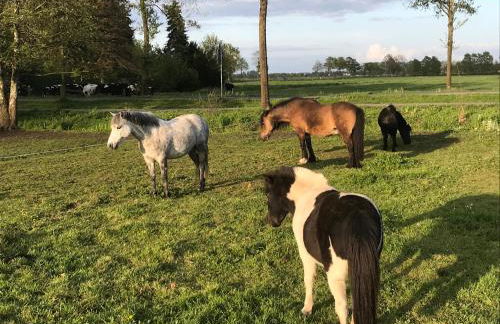 Ferienwohnung Süderfeld - Foto 22