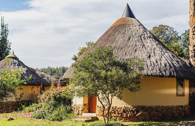 Ardmore Guest Farm - Photo 47