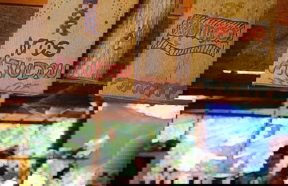 Pousada Pouso das Araras - Foto 51