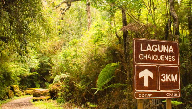 Paisagens do Parque Nacional Alerce Andino