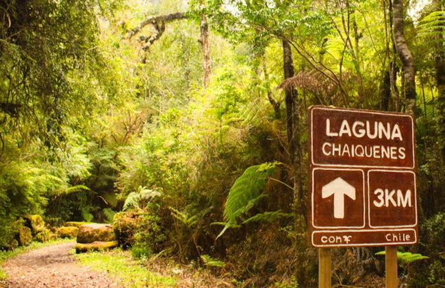 Excursion privée depuis Puerto Montt - Photo 2