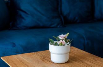 House Niko T with 6 apartments - Foto 16