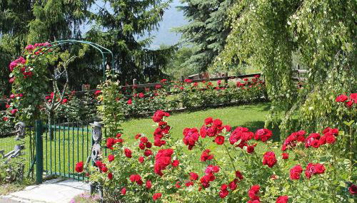 Casa Felice da Piera - Foto 3, Garden, Garden view