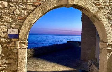 Villa Victoria Istra - heated pool - Foto 36