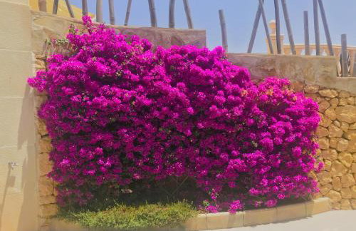 Villa with panoramic sea views - Photo 44