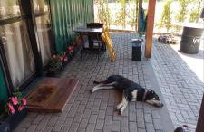 Casa Container em Monte Verde - 800m do Centro - Foto 13