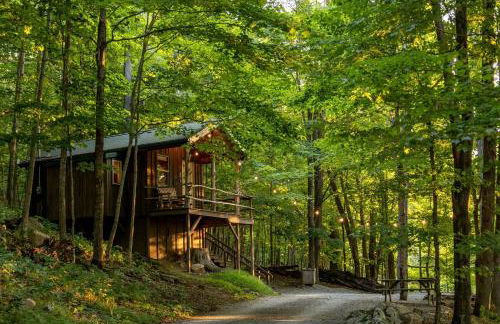 Treehouse Cabin in Riverton, WV - Foto 23