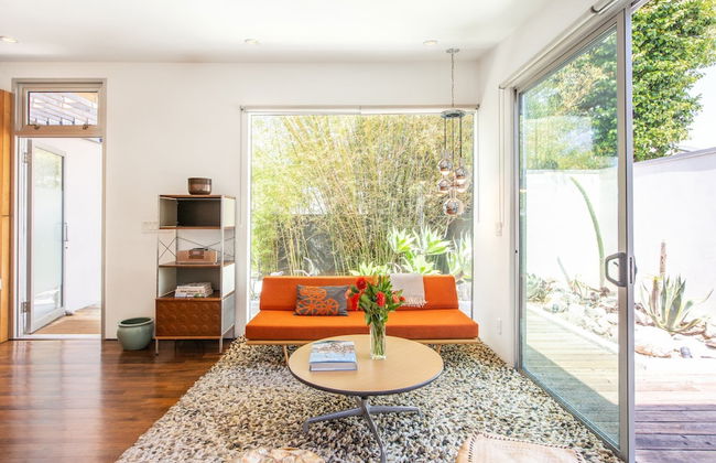 Cactus Flower - Foto 14