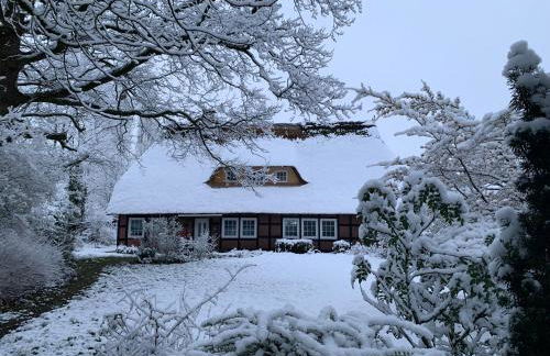 Fewo -Hiddingen - Foto 1