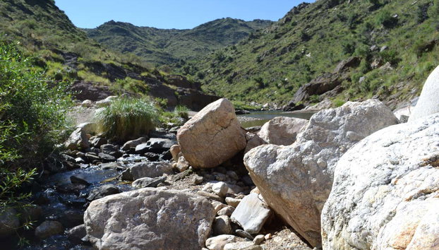 Excursión al río Grande y Nogolí - Foto 5, Naturaleza en el entorno del río Grande
