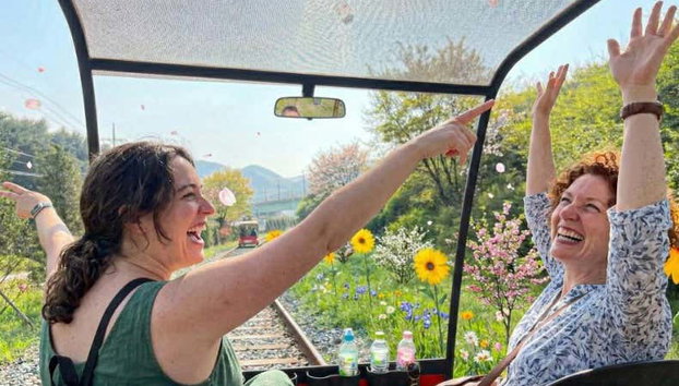 Excursión a la Petite France e isla Nami + Rail bike - Foto 4