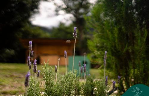 Hospedaria Leliak - Retiro Boutique de Montanha - Foto 17