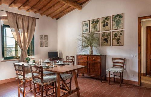 Agriturismo La Papessa - Fattoria Montecchio - Foto 46