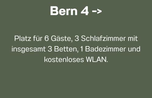 Ferienwohnungen Bernsdorfer Straße Chemnitz - zentrumsnah, teilweise mit Balkon oder Terrasse, große Parkanlage - ideal für Familien, Paare und Geschäftsleute - Foto 33