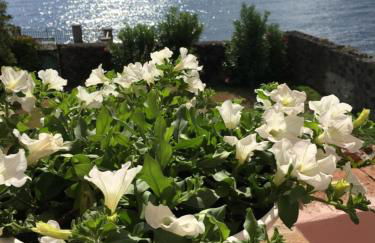 Blue Santa Tecla - Foto 70