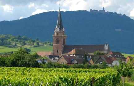 Le Petit Nid - Foto 15